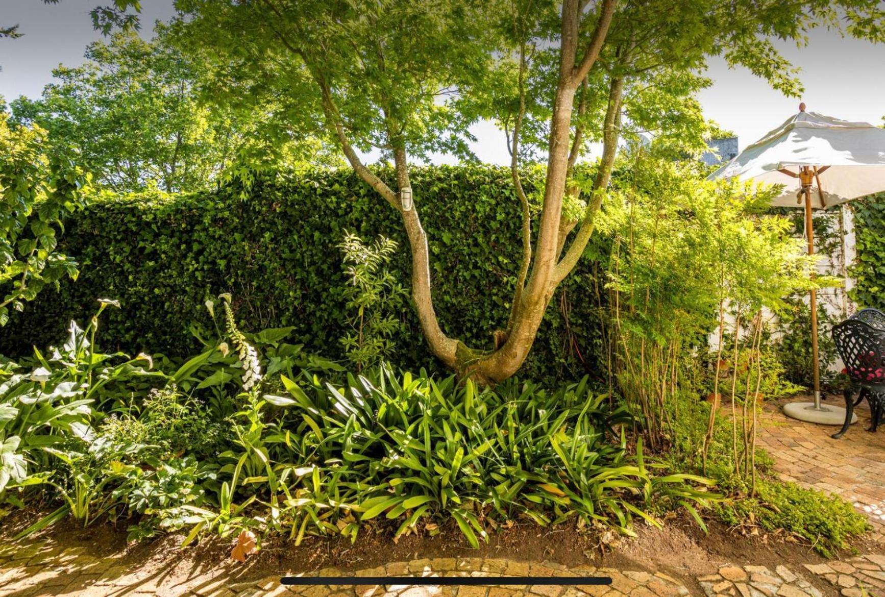 Guest Suite - Leafy Constantia Guest House كيب تاون المظهر الخارجي الصورة